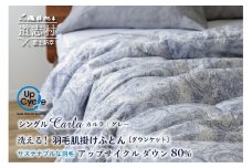 【富士新幸謹製】洗える！サステナブルなダウンケット(羽毛肌掛けふとん)［カルラ・グレー］シングル ※着日指定不可 ふるさと納税 寝具 ダウン 羽毛 ダウンケット かけ布団 掛け布団 ふとん 山梨県 道志村 送料無料 DSI005
