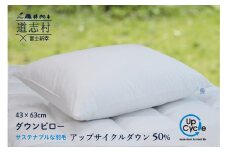【富士新幸謹製】 43×63cm ダウンピロー「サステナブルな羽毛」アップサイクルダウン羽毛枕 ※着日指定不可 ふるさと納税 寝具 枕 まくら ダウン ダウンピロー ピロー 羽毛 山梨県 道志村 送料無料 DSI003