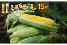 【先行予約】新鮮！朝どれトウモロコシ【15本入】 ※北海道・沖縄・離島への配送不可 ※着日指定不可 ふるさと納税 野菜 やさい コーン ヤングコーン とうもろこし トウモロコシ もろこし 青果 山梨県 道志村 送料無料 DSV006