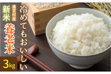 【先行予約】【2025年１１月初め～１１月末発送】米【3kg】～養老米～ ※北海道・沖縄・離島への配送不可 ※着日指定不可  ふるさと納税 米 こめ 精米 養老米 あきたこまち 山梨県 道志村 送料無料 DSV001