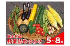 道志村産野菜詰め合わせ（5～8品） ※着日指定不可 ※北海道・沖縄・離島への配送不可 ※2023年4月中旬～10月中旬頃に順次発送予定 ふるさと納税 野菜 やさい セット クレソン たらの芽 じゃがいも きゅうり ピーマン 山梨県 道志村 送料無料 DSH010
