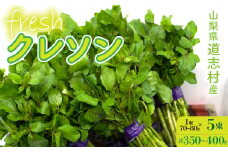 【産地直送】朝摘み新鮮！道志村産クレソン 5束（350～400g）DSAA001 【期間限定】