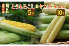 【先行予約】【2025年８月初め～発送】新鮮！朝どれヤングコーン【10本入】＋トウモロコシ【５本】  ふるさと納税 野菜 やさい コーン ヤングコーン とうもろこし トウモロコシ もろこし 青果 山梨県 道志村 送料無料 DSV014