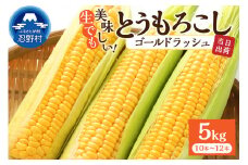 富士北麓忍野村の気候、水、自然で作られた朝採りトウモロコシ（ゴールドラッシュ）