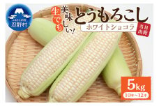 富士北麓忍野村の気候、水、自然で作られた朝採りトウモロコシ（ホワイトショコラ）