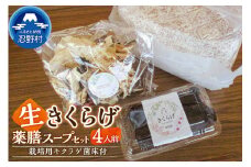 山梨県 忍野村産 生きくらげで頂く薬膳スープセット 4人前 栽培用キクラゲ菌床1つ付 純国産