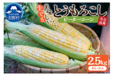富士北麓忍野村の気候、水、自然で作られた朝採りトウモロコシ《ピーターコーン》4本～6本（約2.5㎏）