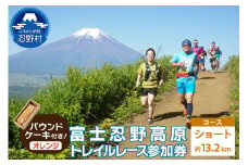 トレイルレース(ショート）参加券とパウンドケーキ（パティスリーアン）【オレンジ味】