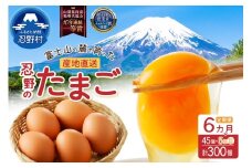 【6ヶ月定期便】富士山の麓で育った産地直送 ”忍野の卵”※卵45個+割れ保証5個　計300個