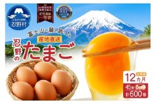 【12ヶ月定期便】富士山の麓で育った産地直送 ”忍野の卵”※卵45個+割れ保証5個　計600個