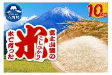 【令和7年産米】【新米先行予約】【数量限定】忍野村産コシヒカリ（10kg）