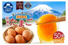 【11月配送分】富士山の麓で育った産地直送 ”忍野の卵”※卵45個+割れ保証5個　計50個