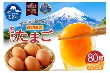 【10月配送分】富士山の麓で育った産地直送 ”忍野の卵”※卵75個+割れ保証5個　計80個