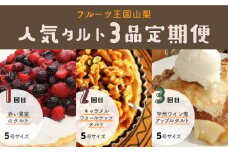 【Tartecafe】フルーツ王国やまなし人気タルト3回連続定期便 ふるさと納税 タルト 定期便 ベリー キャラメル ナッツ アップル りんご 林檎 リンゴ スイーツ デザート 山梨県 山中湖村 送料無料 YF008