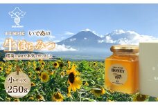 ～近日2025年産新商品リリース予定～【特製貼箱入り】山中湖村産　はちみつ小　250g　YAM003
