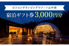 ビジョングランピングリゾート山中湖　3,000円分宿泊ギフト券 YAG017