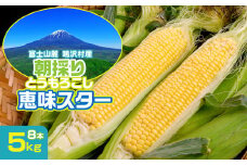＜25年発送先行予約＞富士山麓 鳴沢村産 朝採り とうもろこし【恵味スタ－】8本 NSH003