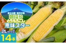 【2026年7月～発送】富士山麓 鳴沢村産 朝採り とうもろこし【恵味スタ－】14本 ふるさと納税  山梨県 鳴沢村 送料無料 NSH004