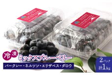 鳴沢村産冷凍ミックスブルーベリー(バークレー・ネルソン・エリザベス・ダロウ）500g×2パック NSAL005
