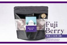 Fuji Berry 果実入り紅茶（3袋）NSAA012