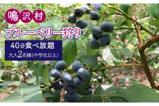ブルーベリー狩り体験チケット（大人中学生以上2名様分） NSAL007