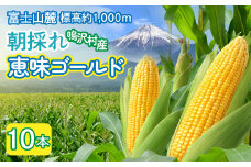 ＜2026年発送＞とうもろこし　恵味ゴールド　10本 NSAK002 | ふるさと納税 とうもろこし トウモロコシ ジューシー 朝採りコーン 野菜 山梨県 鳴沢村 送料無料 |