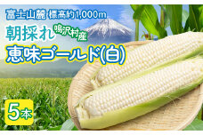 ＜2026年発送＞とうもろこし　恵味ゴールド（白）　5本 NSAK003 | ふるさと納税 とうもろこし トウモロコシ ジューシー 朝採りコーン 野菜 山梨県 鳴沢村 送料無料 