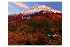 富士山フォトパネル（秋の夕暮れ） NSF003