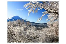 富士山フォトパネル（雪景色） NSF005