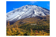 富士山フォトパネル（秋の空） NSF007