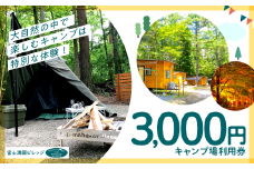 富士満願ビレッジキャンプ場利用券3000円 NSN001