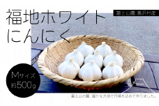 富士山麓 鳴沢村産 福地ホワイト にんにく NSH001