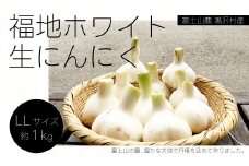 富士山麓 鳴沢村産福地ホワイト 生にんにく 約1kg NSH002
