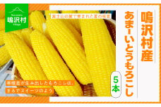＜25年発送先行予約＞鳴沢村産あまーいとうもろこし5本 NSJ017