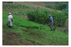 ふるさと小菅をきれいに！除草、清掃等サービス 〜ショートコース〜