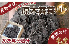 【2025年発送分先行予約】丹波山村産 原木舞茸 約1kg 2025年9月下旬より順次発送予定 / 丹波山名産 希少 無農薬 無添加 舞茸 まいたけ マイタケ 原木栽培 きのこ キノコ 産地直送【tab0005】