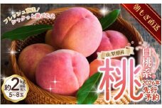 【来年2026年出荷分 先行予約】朝もぎ直送！ 「  桃 白桃 系 」 5～8玉 約2kg規格箱入り【高機能共選機使用】【先行予約】 選び抜かれた 桃 山梨県産 モモ 白鳳 フルーツ 果物 くだもの 人気 産地直送 厳選 贈答 贈り物 甘い 予約【tab0097】