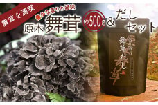 【先行予約】【2025年秋発送】丹波山村産原木舞茸500g+舞茸だし(8g x6袋)セット 2025年9月下旬より順次発送予定【tab0118】
