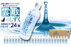 雲取のしずく（ナチュラルミネラルウォーター）（軟水）500ml×24本 雲取山由来の地下水 ／ 軟水 飲料水 ペットボトル 備蓄水 防災用品 防災 災害対策 非常用 まろやか 人気 おいしい 山梨県【tab0220】