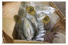 丹波川 源流育ち 鮎のひもの ”かあら干し” ８枚【tab0143】