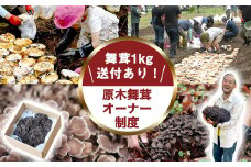 【先行予約】【舞茸約1kg付きの体験イベント】2024年舞茸オーナー制度＆畑づくり体験【tab0200】