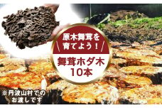 【村に取りに来られる方限定】丹波山村の原木舞茸のほだ木販売 10本 原木舞茸を自分で育ててみませんか【tab0202】