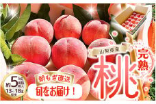 朝もぎ直送!『山梨県産　桃』約13～18玉 約5kg規格箱入り 【高機能共選機使用】選び抜かれた山梨の桃《もも 先行予約》山梨県産　モモ/ フルーツ 果物 くだもの 人気 産地直送/厳選  贈答 贈り物【tab0221-05】