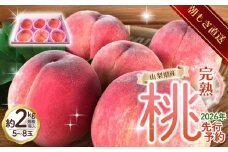 【来年2026年出荷分 先行予約】朝もぎ直送!『山梨県産　桃』約5～8玉 約2kg規格箱入り【高機能共選機使用】選び抜かれた桃《 もも 》　山梨県産 モモ/ フルーツ 果物 くだもの 人気 産地直送/厳選  贈答 贈り物【tab0182】