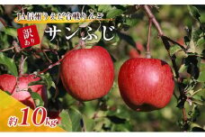 訳あり りんご JA信州うえだ 合戦りんご サンふじ 約10kg リンゴ 林檎 ふじ 果物 くだもの フルーツ 信州 長野 離乳食 訳アリ わけあり 傷 [№5312-0060]