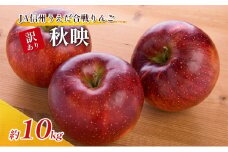 訳あり りんご JA信州うえだ 合戦りんご 秋映 約10kg リンゴ 林檎 果物 くだもの フルーツ 信州 長野 離乳食 訳アリ わけあり 傷 [№5312-0062]