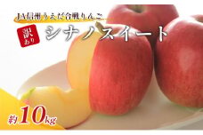訳あり りんご JA信州うえだ 合戦りんご シナノスイート 約10kg リンゴ 林檎 果物 くだもの フルーツ 信州 長野 離乳食 訳アリ わけあり 傷 [№5312-0063]