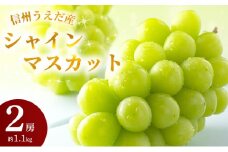 特産 シャインマスカット JA信州うえだ 大房 2房 約1.1kg マスカット 葡萄 ぶどう ブドウ 果物 くだもの フルーツ 信州 長野 [№5312-0066]