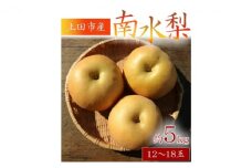 ムクノモリ果樹園の【南水梨】5kg [№5312-0143]