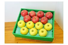 りんご 2種セット 詰め合わせ 約5kg 13～16玉 サンふじりんご シナノゴールド セット 林檎 リンゴ サンふじ 果物 くだもの フルーツ 旬の果物 旬のフルーツ 食べ比べ 信州産 長野県産 信州 長野 長野県 上田市 [№5312-0214]